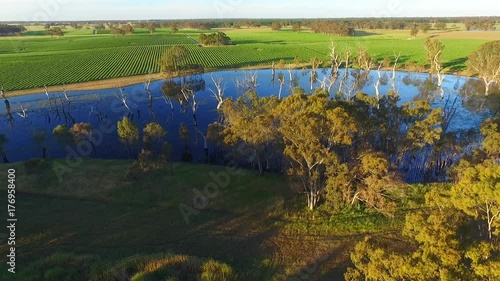 Drone View Aerial of Vineyards South Australia