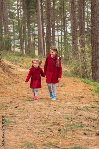 Two little girls, two sisters are walking in pine forest