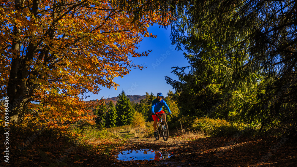 Obraz premium Mountain biker cycling in autumn mountains forest landscape. Man cycling MTB flow trail track. Outdoor sport activity.