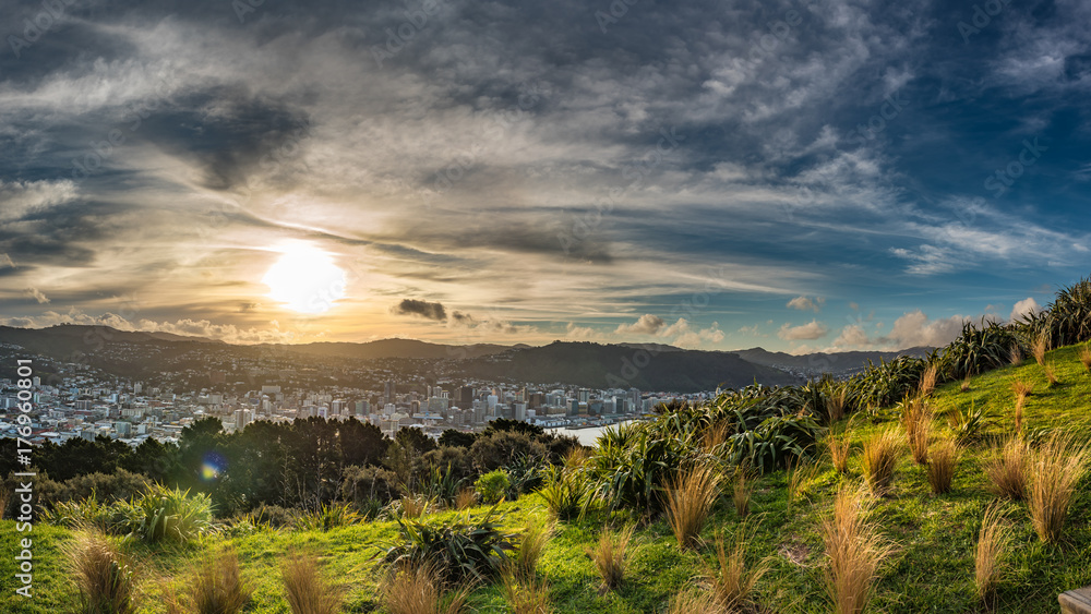 View of downtown Wellington New Zealand from Mount Victoria Lookout during sunset