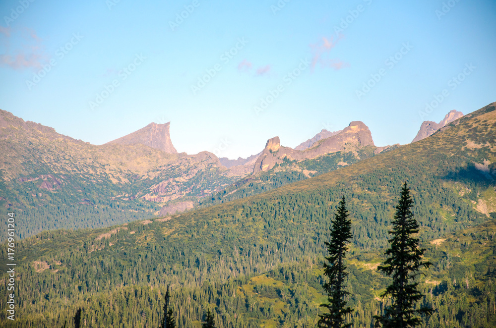 Sunny landscape, view of the forest and rocks, Ergaki mountains