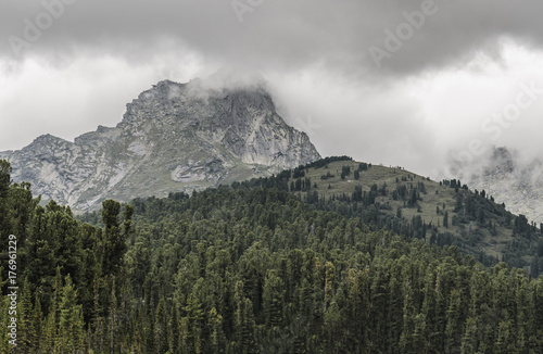 A foggy landscape, a view of the cliffs, the forest, Ergaki mountains
