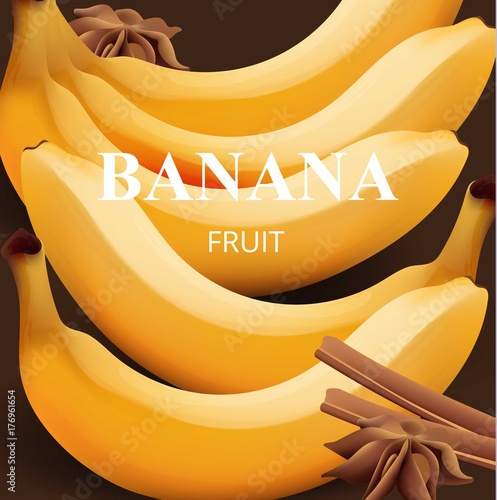 Banana background with cinnamon sticks and anise star Vector