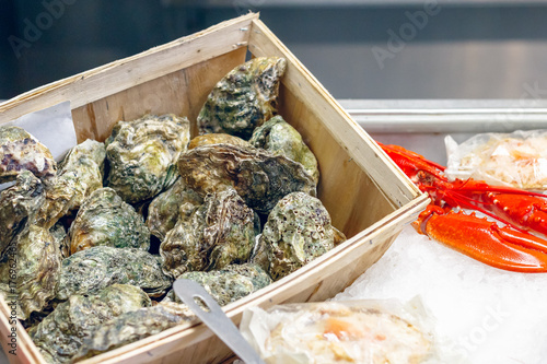 Fresh oysters on display at Billingsgate Fish Market in London photo