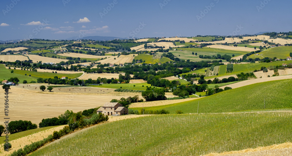 Summer landscape in Marches (Italy) near Ostra