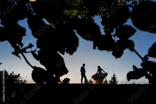Look through the bushes at silhouettes of wedding couple standing on the hill