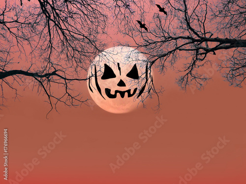 Halloween background. Spooky forest with silhouette dead trees and full moon on red sky. scary scene wallpaper with copy space for halloween background