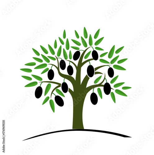 Olive tree with green leaves. Tree with black olives. Vector illustration on a white background. Flat style.