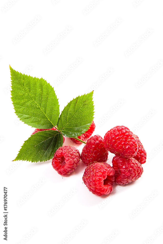 Ripe raspberries with leaf isolated on white background. Ripe raspberries with leaf isolated on white background.