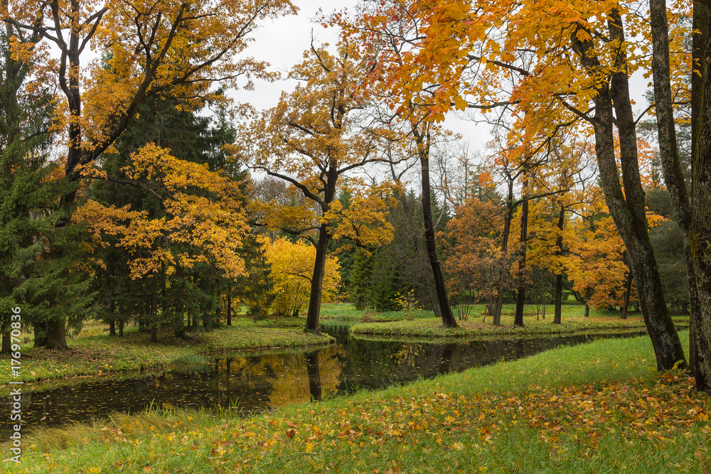 Autumn forest in Pushkin, Saint-Petersburg, Russia Autumn forest in Pushkin, Saint-Petersburg, Russia