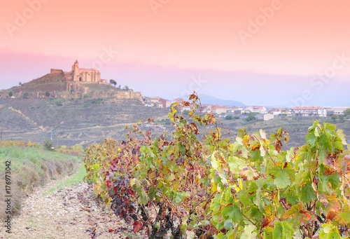 Vineyards in La Rioja, Spain.. photo