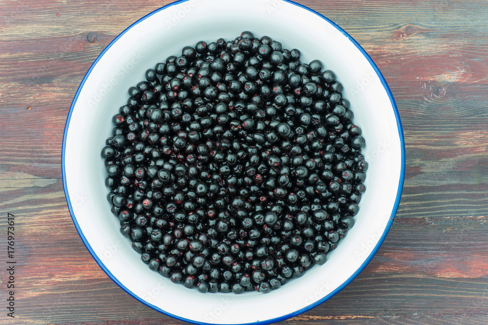 Aronia berries in bowl Aronia berries in bowl