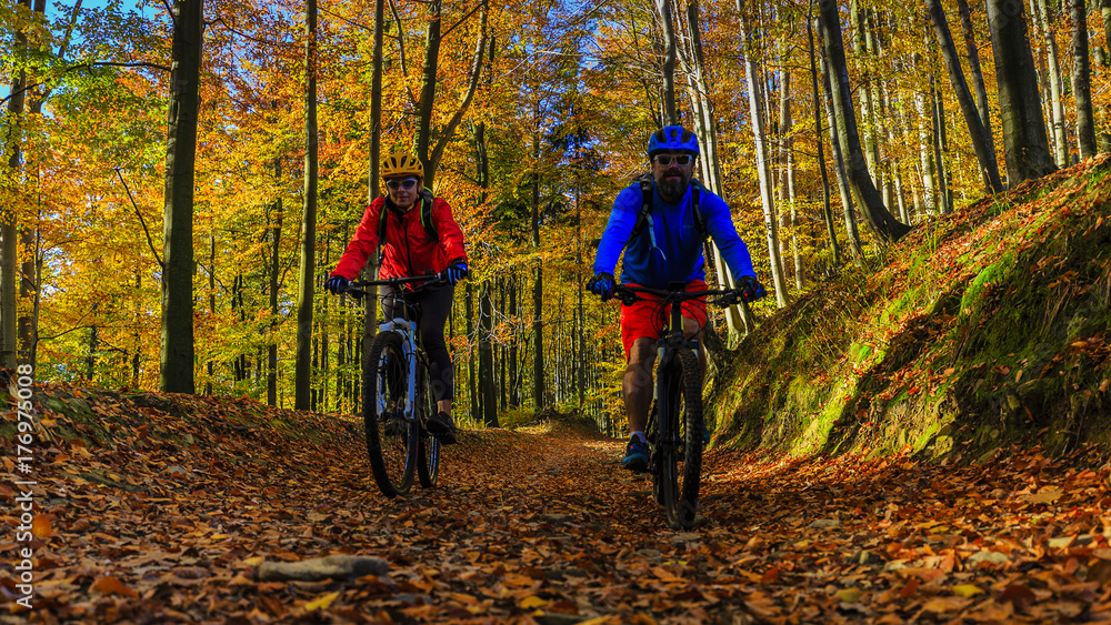 Cycling, mountain biker couple on cycle trail in autumn forest. Mountain biking in autumn landscape forest. Man and woman cycling MTB flow uphill trail. Cycling, mountain biker couple on cycle trail in autumn forest. Mountain biking in autumn landscape forest. Man and woman cycling MTB flow uphill trail.