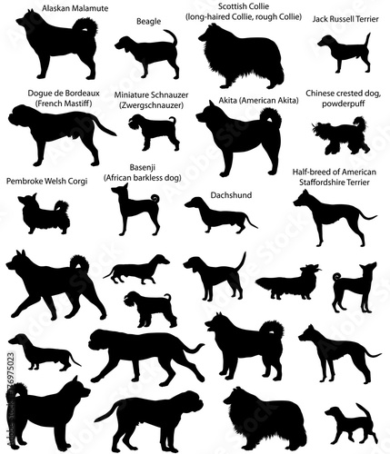 Collection of silhouettes of different breeds of dogs