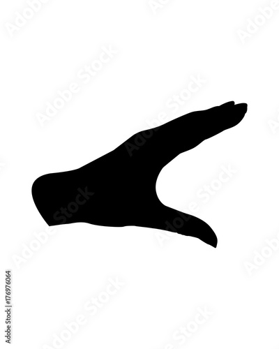 Hand showing big size. Realistic hand gesture.