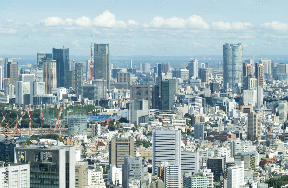 Obraz premium 東京風景