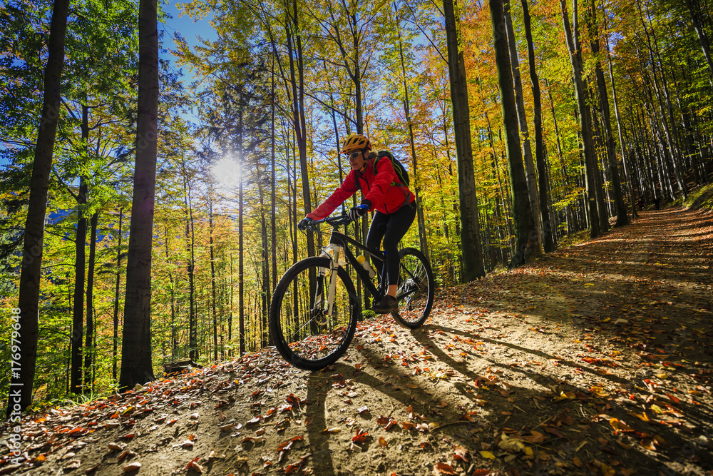 Obraz premium Cycling, mountain bikeing woman on cycle trail in autumn forest. Mountain biking in autumn landscape forest. Woman cycling MTB flow uphill trail.