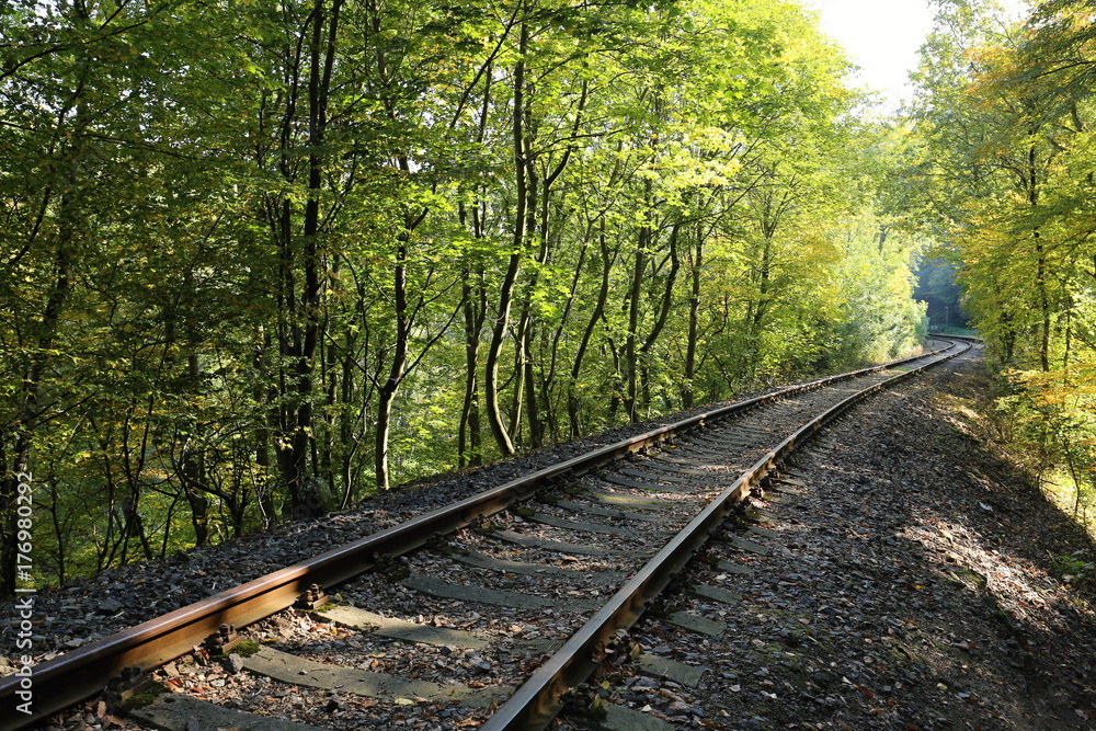 Railway track in the tunnel of trees