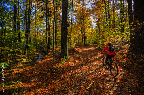 Cycling, mountain bikeing woman on cycle trail in autumn forest. Mountain biking in autumn landscape forest. Woman cycling MTB flow uphill trail.