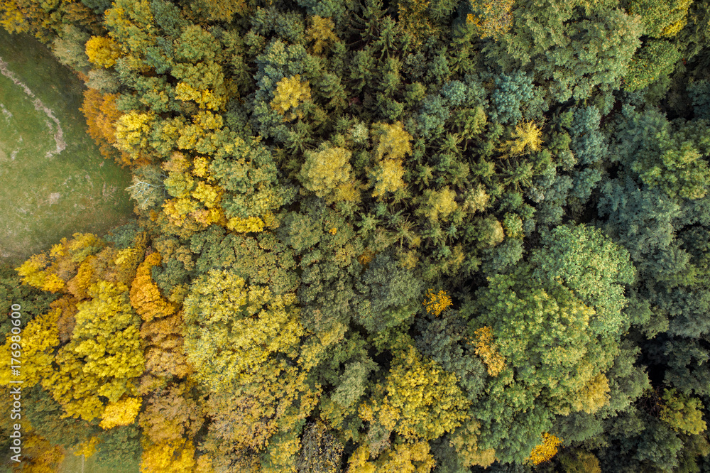 Aerial drone view of colorful, wonderful, amazing, autumn forest, wienerwald, lower-austria Aerial drone view of colorful, wonderful, amazing, autumn forest, wienerwald, lower-austria