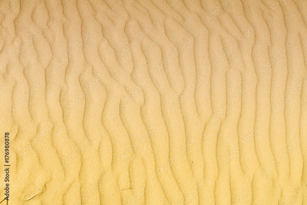 Sand texture. Close up of sand grooves made by the wind. Sand texture. Close up of sand grooves made by the wind.