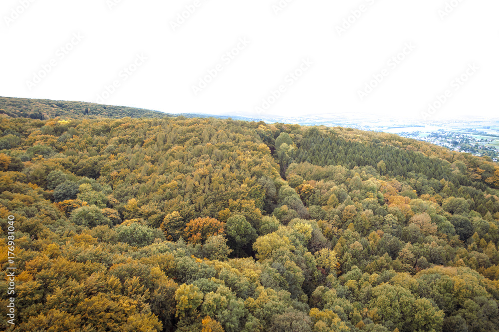 Fototapeta premium Aerial drone view of colorful, wonderful, amazing, autumn forest, wienerwald, lower-austria