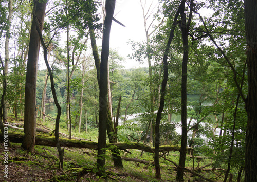 Fototapeta Naklejka Na Ścianę i Meble -  wielkopolski park narodowy