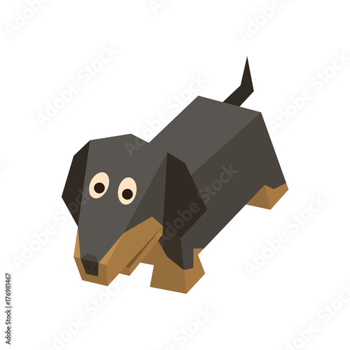 Vector breed isometric badger-dog