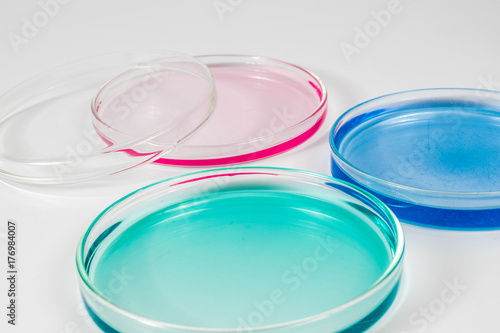 color liquid in petri dishes. laboratory, science and clinic background 