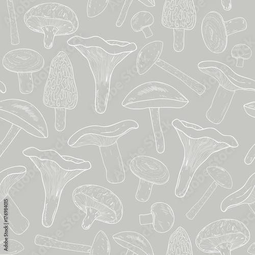 Edible mushrooms outline seamless pattern. Hand drawn fungi. Birch bolete, blewits, brown, champignon, shiitake, chanterelle, wrinkled. Contour vector illustration on gray background.