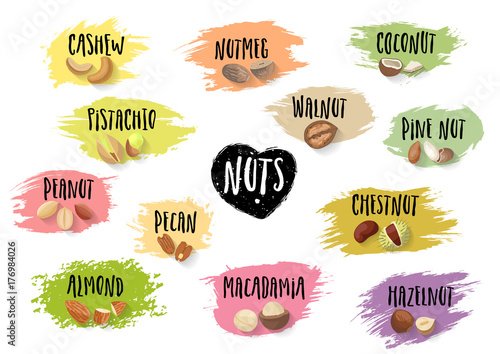 Vector set of trendy emblems of various nuts and black lettering on colorful blots. For packaging and advertising healthy food.