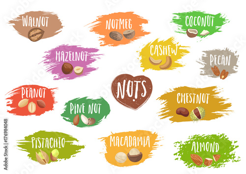 Vector set of trendy emblems of various nuts and white lettering on colorful blots. For packaging and advertising healthy food.