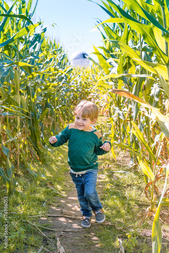 adorable toddler boy playing in corn maze during fall autumn season