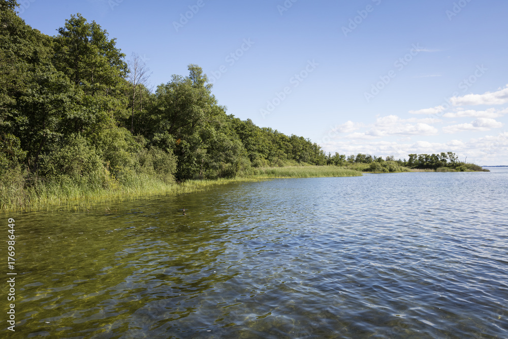 Seeufer, Müritz, Müritz-Nationalpark, Mecklenburgische Seenplatte, Mecklenburg Vorpommern, Deutschland, Europa Seeufer, Müritz, Müritz-Nationalpark, Mecklenburgische Seenplatte, Mecklenburg Vorpommern, Deutschland, Europa