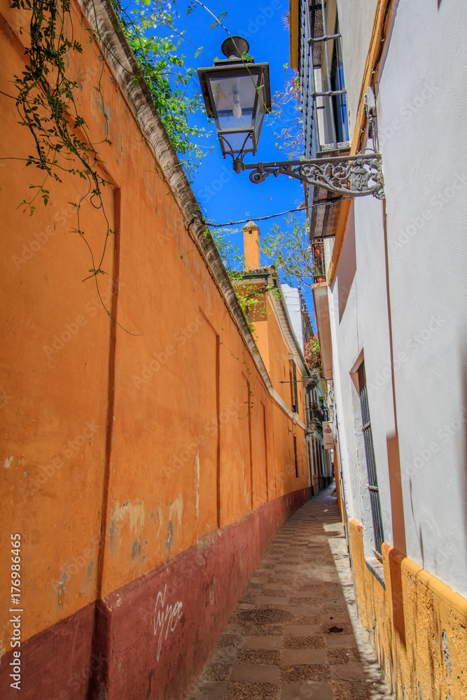 a narrow street situated in the center of the spanish city sevilla