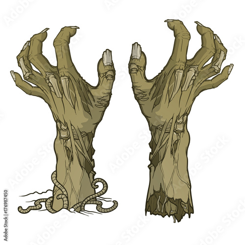 Pair of zombie hands rising from the ground and torn apart. lifelike depiction of the rotting flash with ragged skin, protruding bones and cracked nails. Monochrome Conceptual art. EPS10 vector