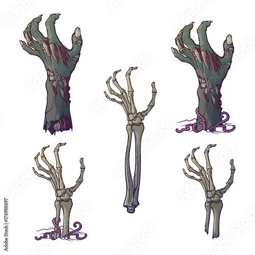 Set of lifelike depicted rotting zombie hands and skeleton hands rising from under the ground and torn apart. Painted linear drawing isolated on white background. EPS10 vector illustration