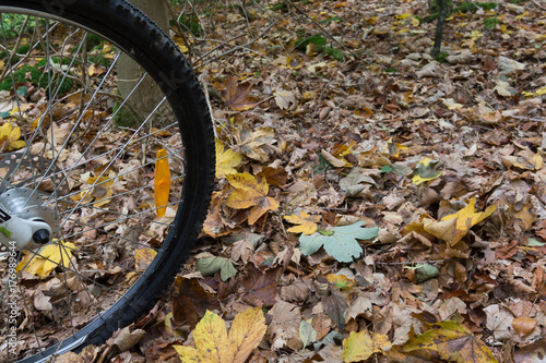 The black tire of a mountain bike rolling over yellow leaves