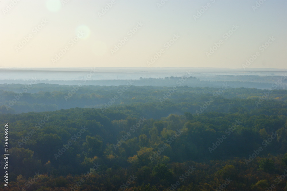 Naklejka premium SONY DSC