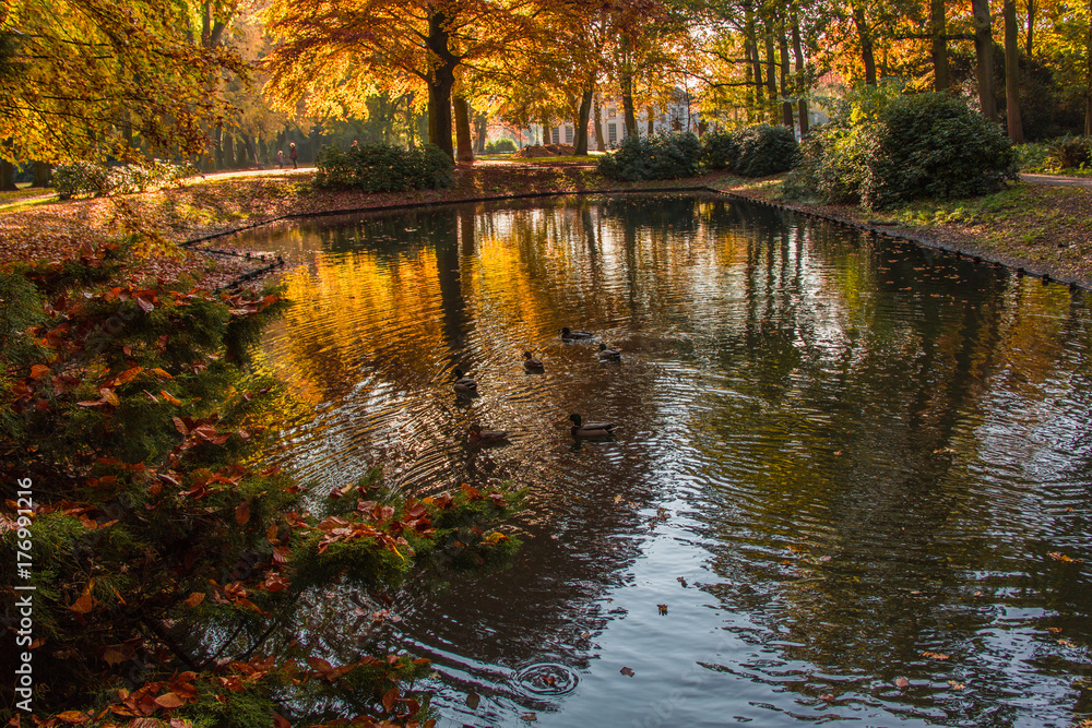 Fall of the leaves in the Park in Oosterhout, Noorth Brabant, Netherlands, October