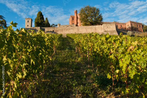 Brolio castle chianti photo