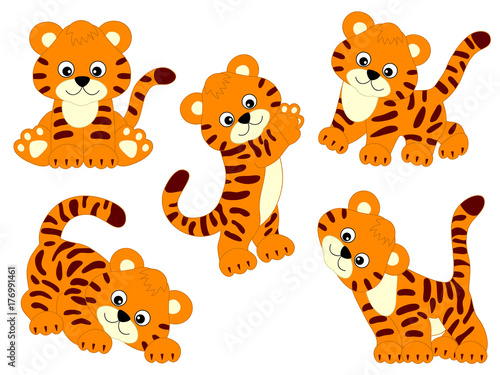 Fototapeta Naklejka Na Ścianę i Meble -  Vector Set of Cute Cartoon Tigers
