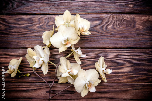Branch of a yellow orchid on a brown wooden background 
