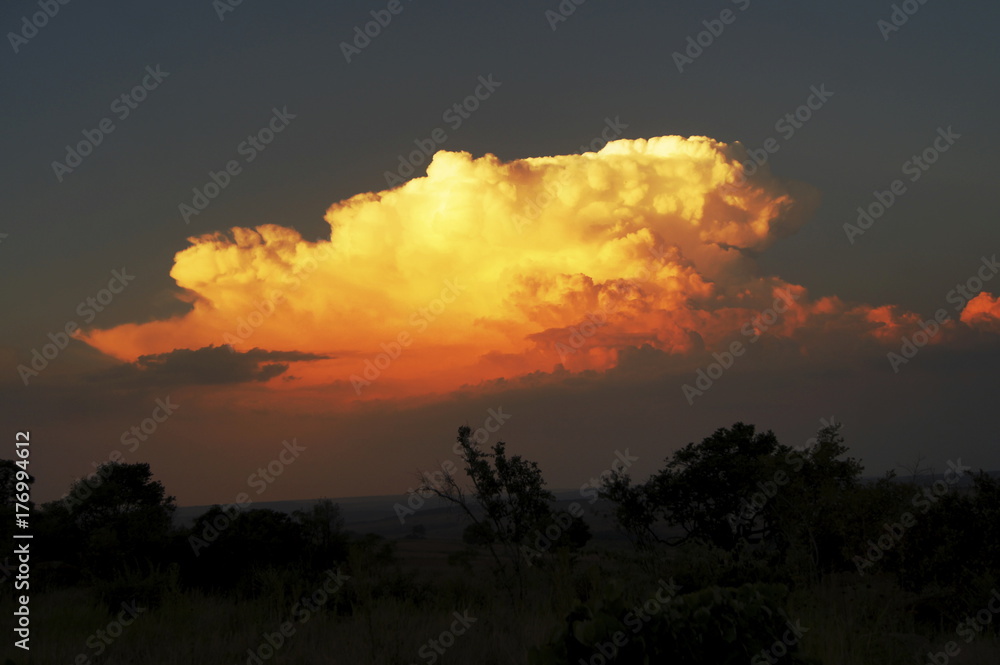 Fototapeta premium SONY DSC