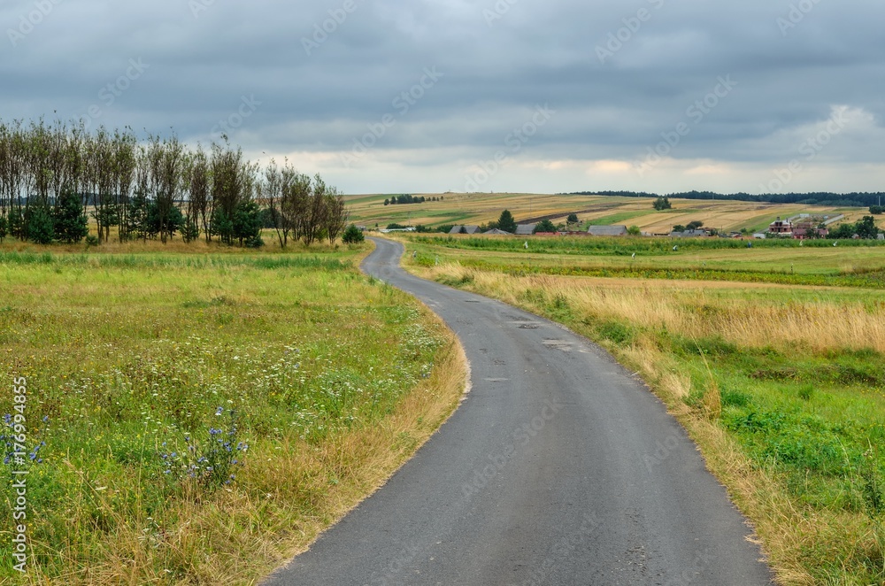 Cloudy summer landscape. Asphalt road in the countryside.