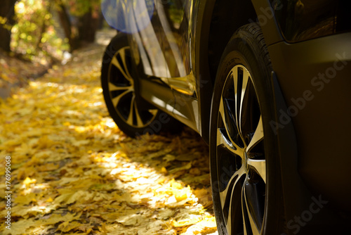 Car wheels on yellow autumn forest leaves japanese suv