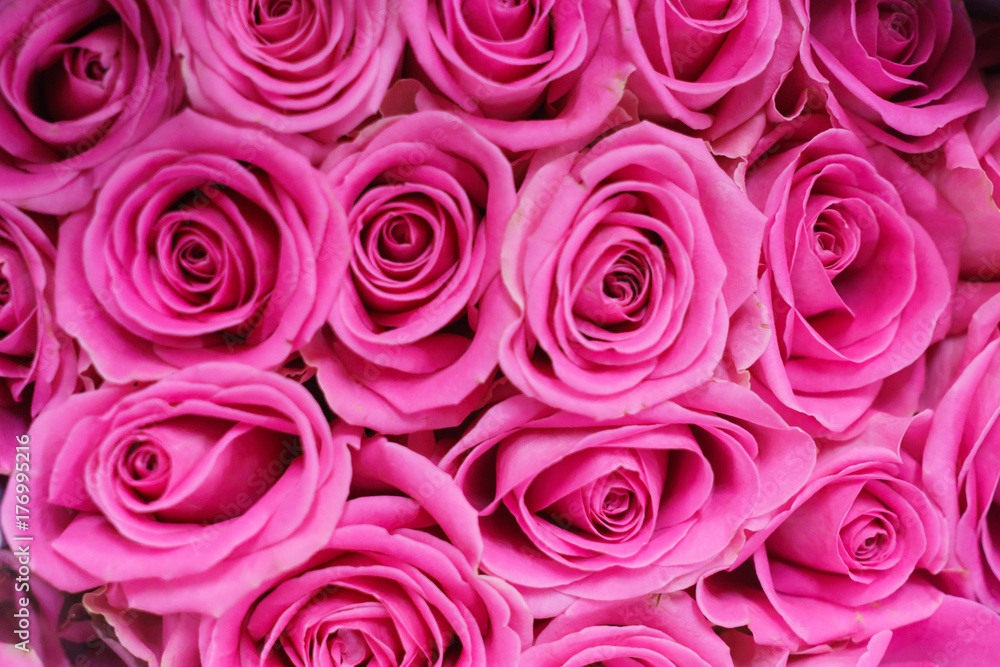 Many different-colored roses in a bouquet on the table. Many different-colored roses in a bouquet on the table.
