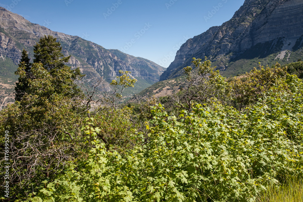 Stunning view of Provo Canyon with vibrant green in front 
