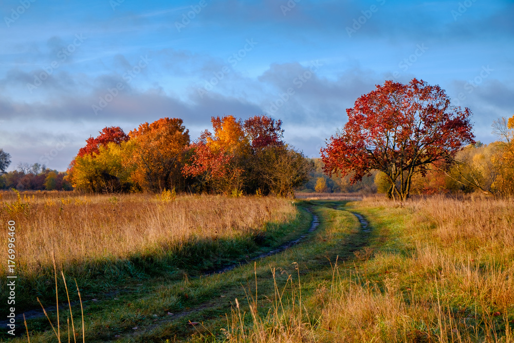 Fototapeta premium The road in autumn