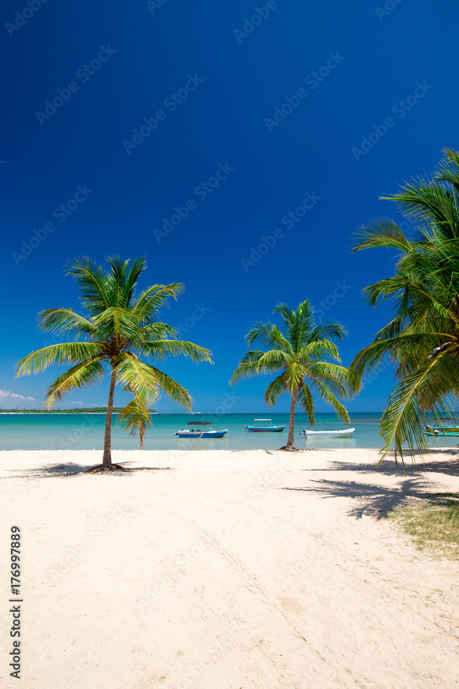 Obraz premium beach and tropical sea